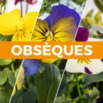 formule-obseques